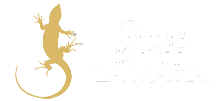 Logo Grupo Masia