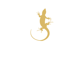 Logo Grupo La Masia